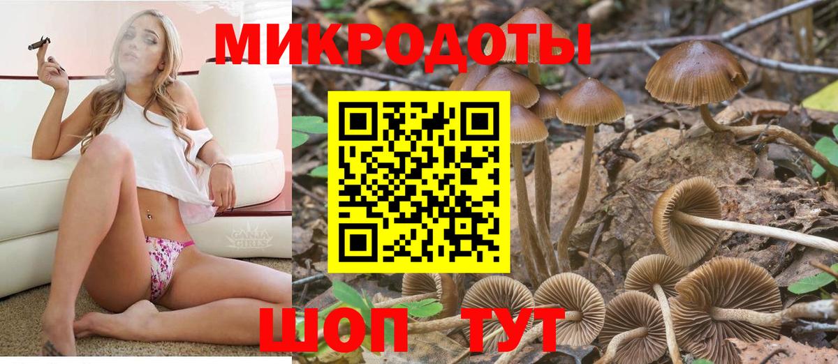 Псилоцибиновые грибы Cubensis Зеленогорск