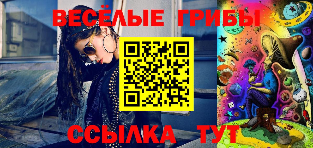 Галлюциногенные грибы ЛСД  наркошоп  Зеленогорск  Вход с VPN 